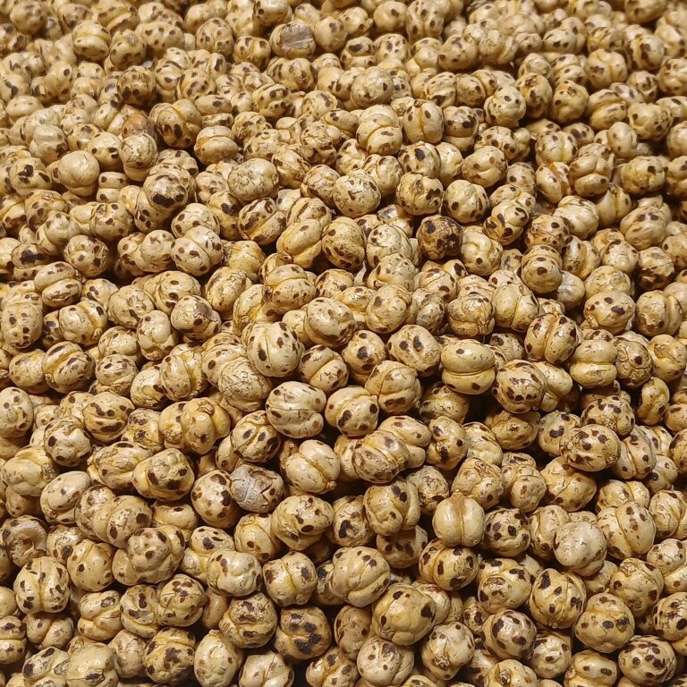 Bowl of roasted chickpeas representing ready-to-eat minimally processed legume products