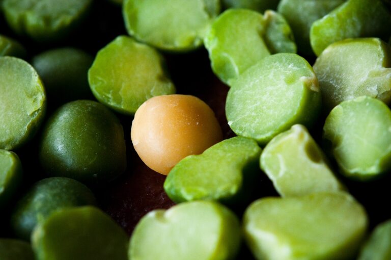 Close-up of dried green split peas, a common source of pulse protein