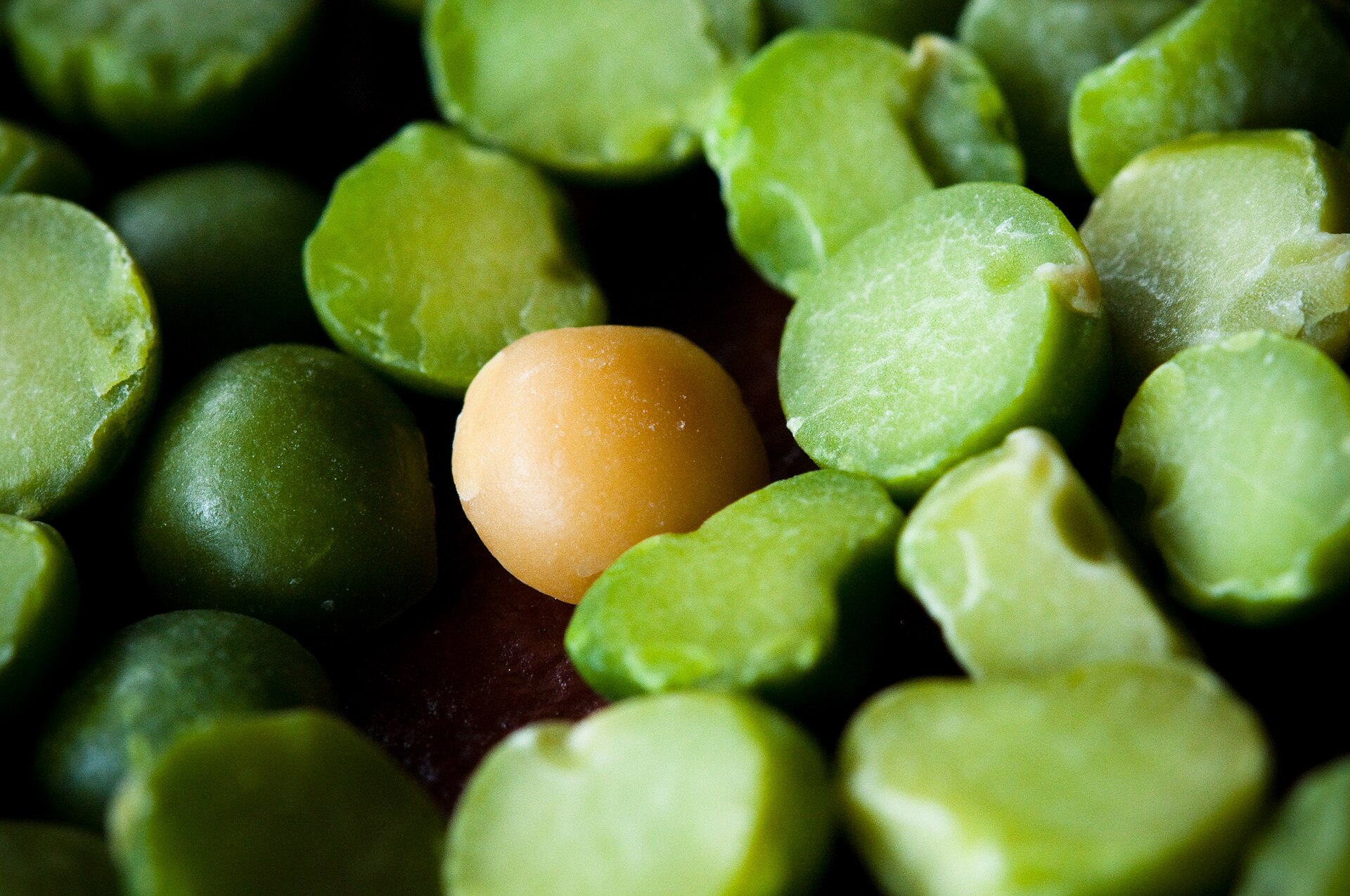 Close-up of dried green split peas, a common source of pulse protein