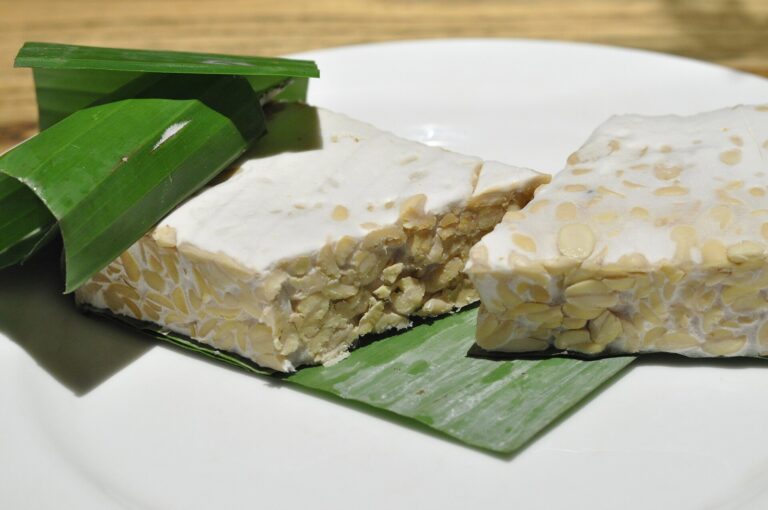 Blocks of fresh tempeh, a traditional solid-state fermented food, on banana leaves