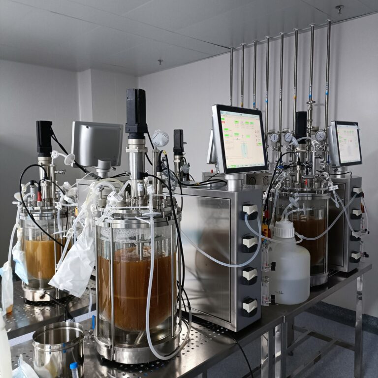 Glass laboratory bioreactors used for cell culture, with control screens and tubing
