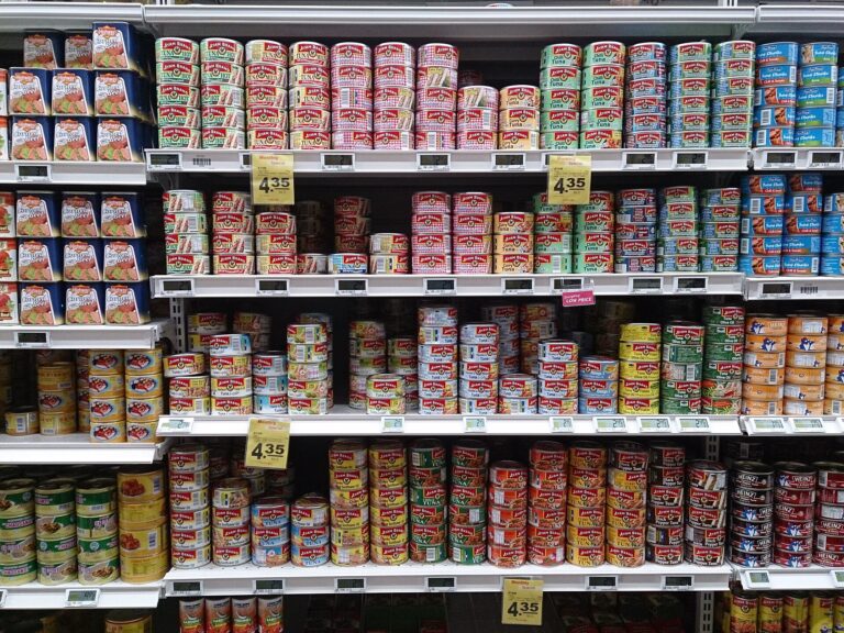 Supermarket shelves stocked with rows of metal food cans, including canned fish