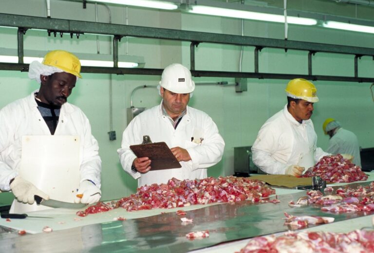 Workers in hard hats processing meat on a production line under USDA inspection