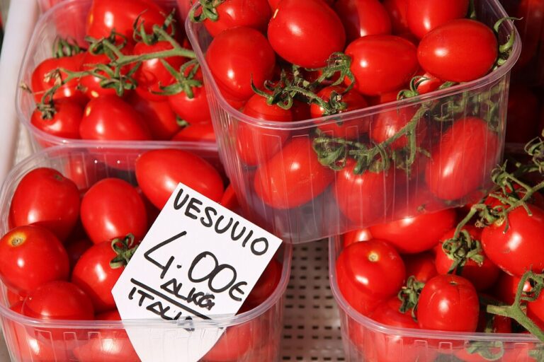 Fresh tomatoes packed in a transparent plastic punnet tray on a market display