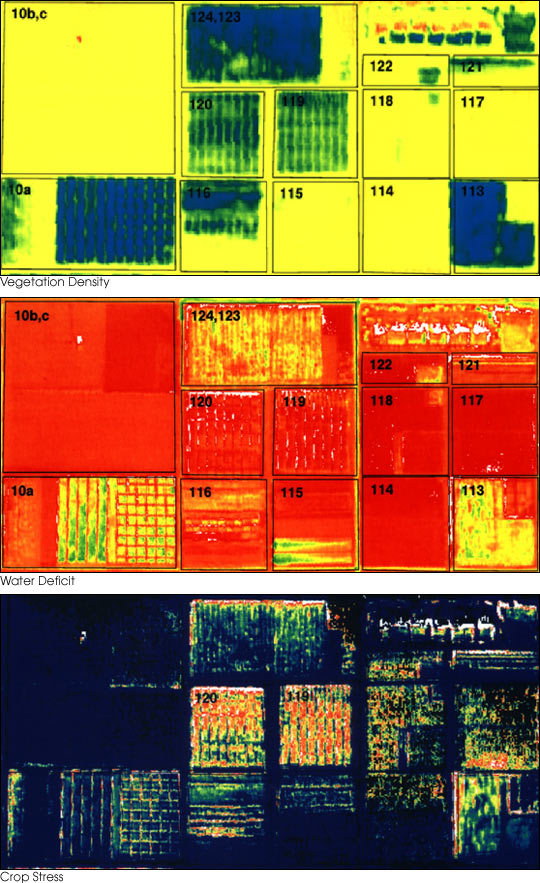 False-color remote sensing maps showing crop density, water deficit and crop stress for precision agriculture