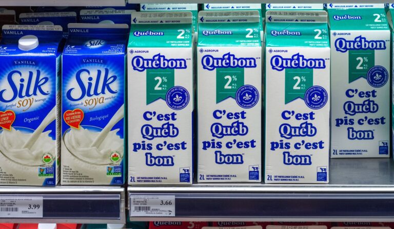 Silk plant-based milk cartons beside dairy milk on a supermarket shelf